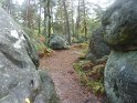 2012-10-11 16-28-16 Rando Fontainebleau-apres-midi FGn